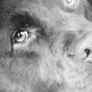 Meet your Posher, Denise denny